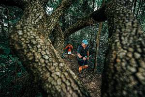 BIB: 
                            <button type="button" onclick="openModal(25392559)" class="btn btn-primary btn-sm float-right btn-popup" data-toggle="modal" data-target=".modal-high-quality">
                        <i class="fas fa-shopping-cart"></i> Add to Cart
                    </button>
                                            <button type="button" onclick="isThisMe(25392559, true)" class="btn btn-success btn-sm float-right btn-popup btn-isme hidden" data-toggle="tooltip" data-placement="bottom" title="นี่คือรูปของคุณใช่ไหม คลิกที่นี่เพื่อเอาเข้าอัลบั้ม">
                        <i class="fas fa-plus"></i> Add to album
                    </button>
                    <button type="button" onclick="isThisMe(25392559, false)" class="btn btn-warning btn-sm float-right btn-popup btn-isnotme hidden">
                        <i class="fas fa-ban"></i> Remove from album
                    </button>